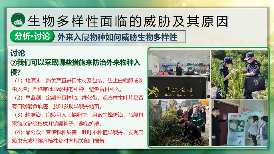 17896955第8页