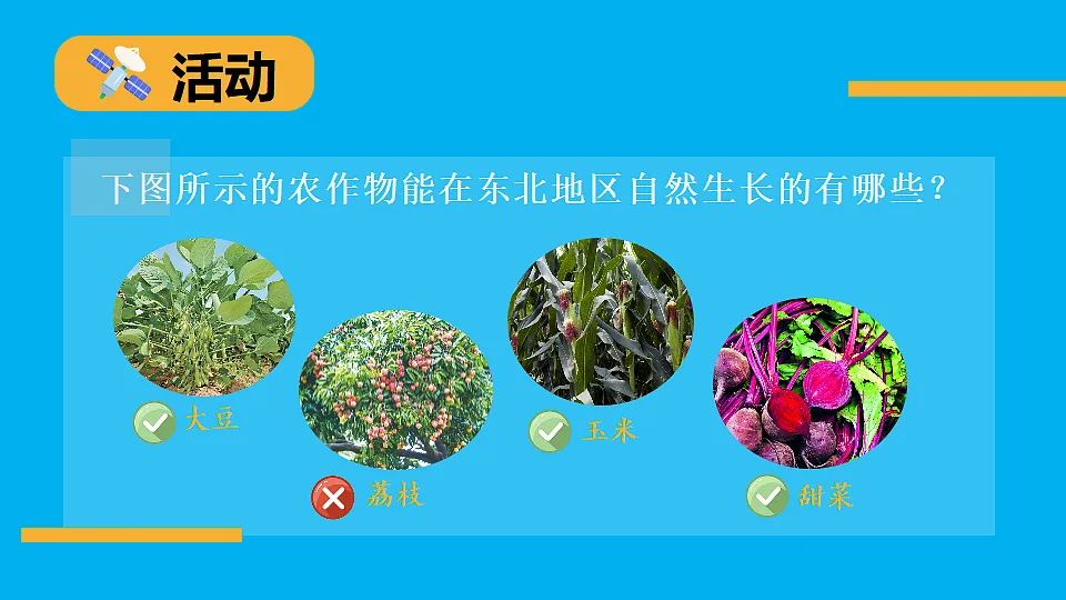17897715第7页