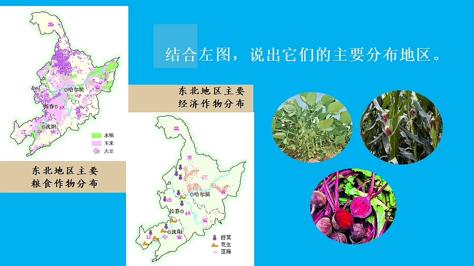 17897715第8页