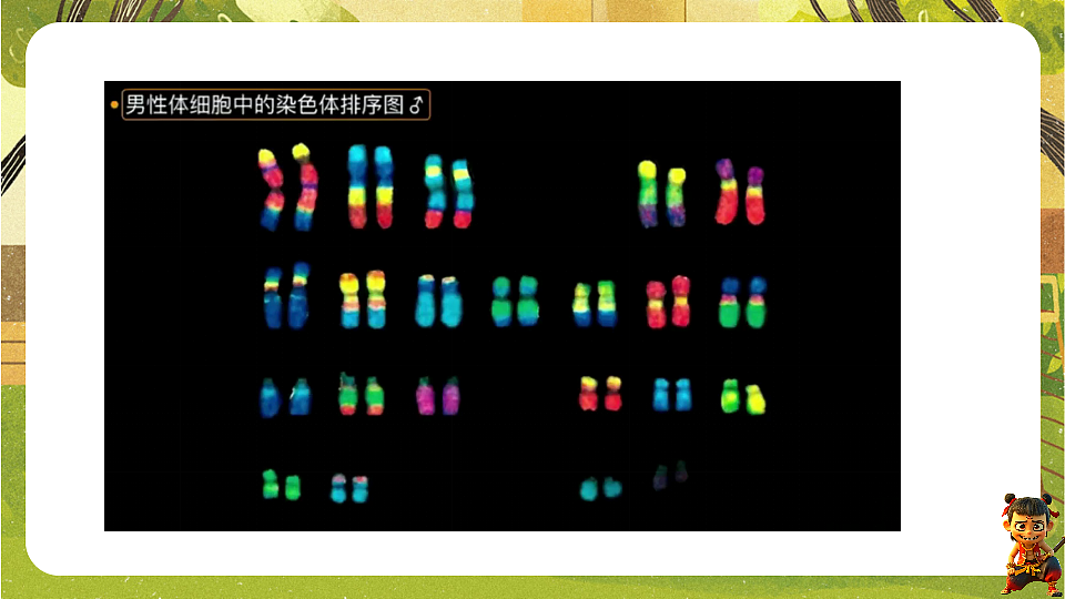 17897817第4页