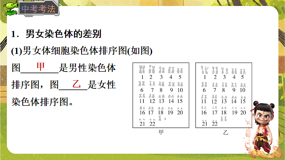 17897817第5页
