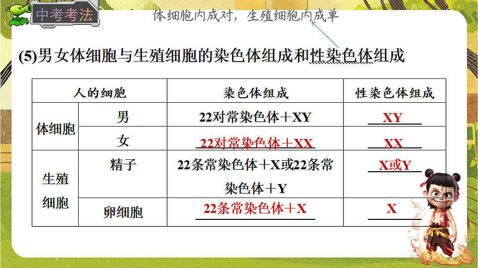 17897817第7页