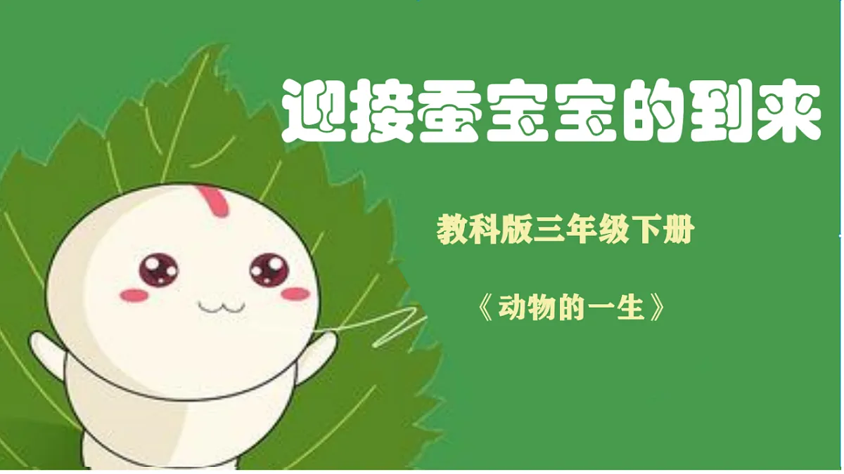2.3 迎接蚕宝宝的到来第1页