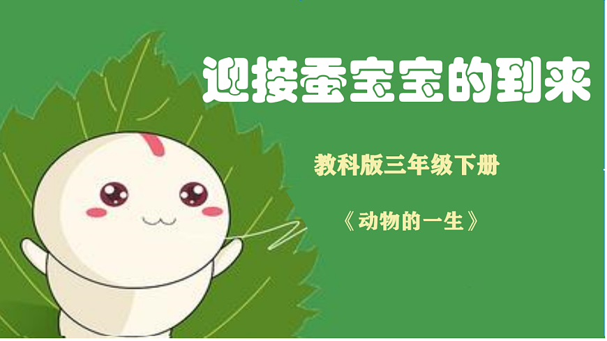 2.3 迎接蚕宝宝的到来第1页