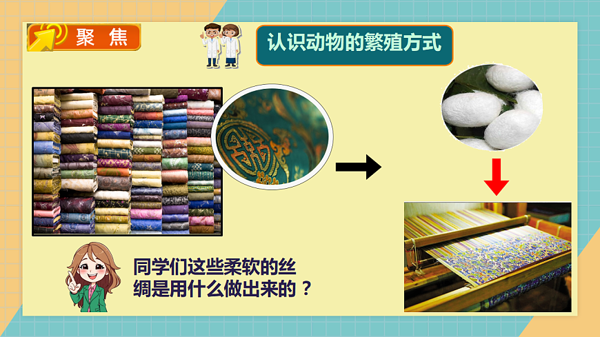 2.3 迎接蚕宝宝的到来第2页