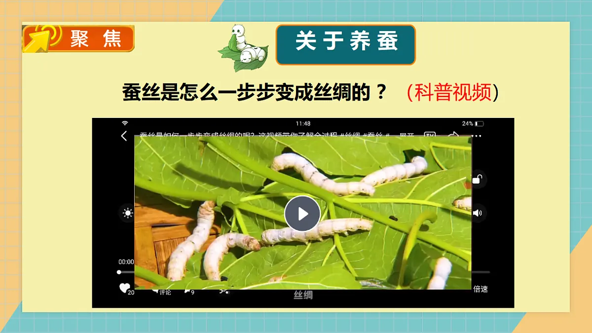 2.3 迎接蚕宝宝的到来第3页