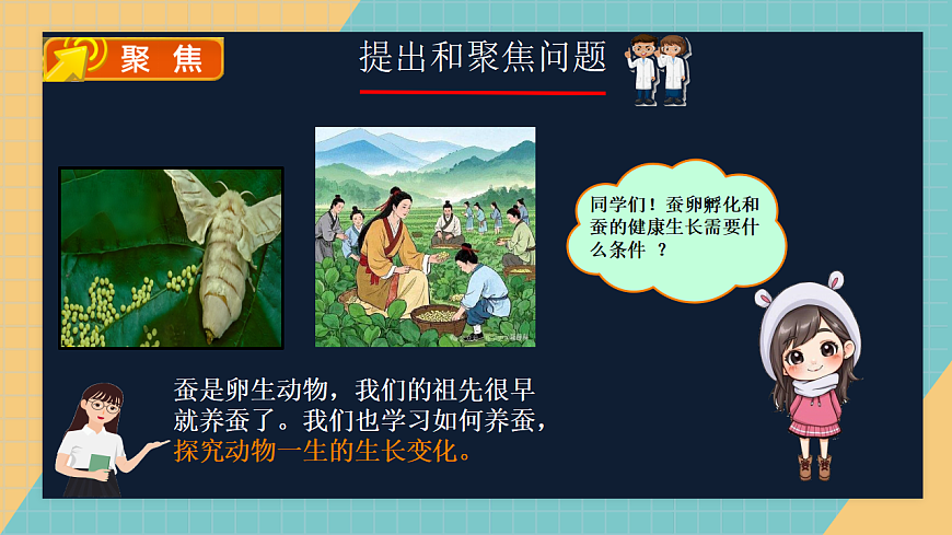 2.3 迎接蚕宝宝的到来第5页