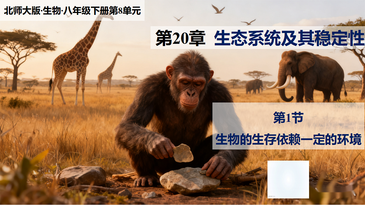 八下生物（北师大版2024）20.1生物的生存依赖一定的环境  课件第1页