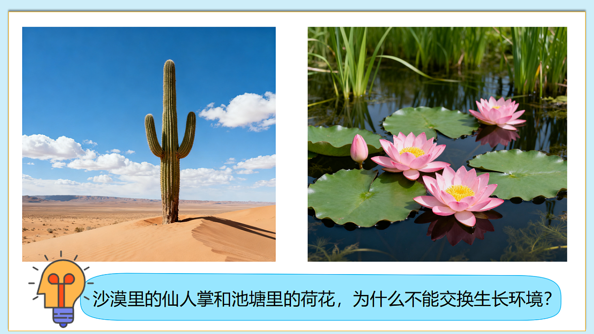 八下生物（北师大版2024）20.1生物的生存依赖一定的环境  课件第5页