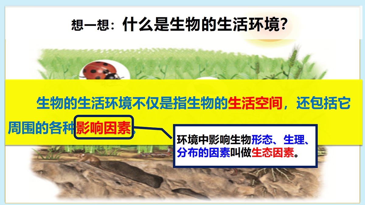 八下生物（北师大版2024）20.1生物的生存依赖一定的环境  课件第7页