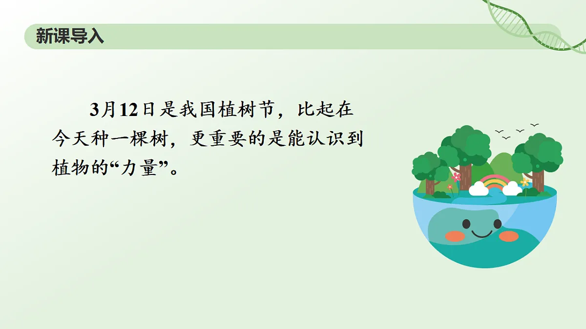 17898278第3页