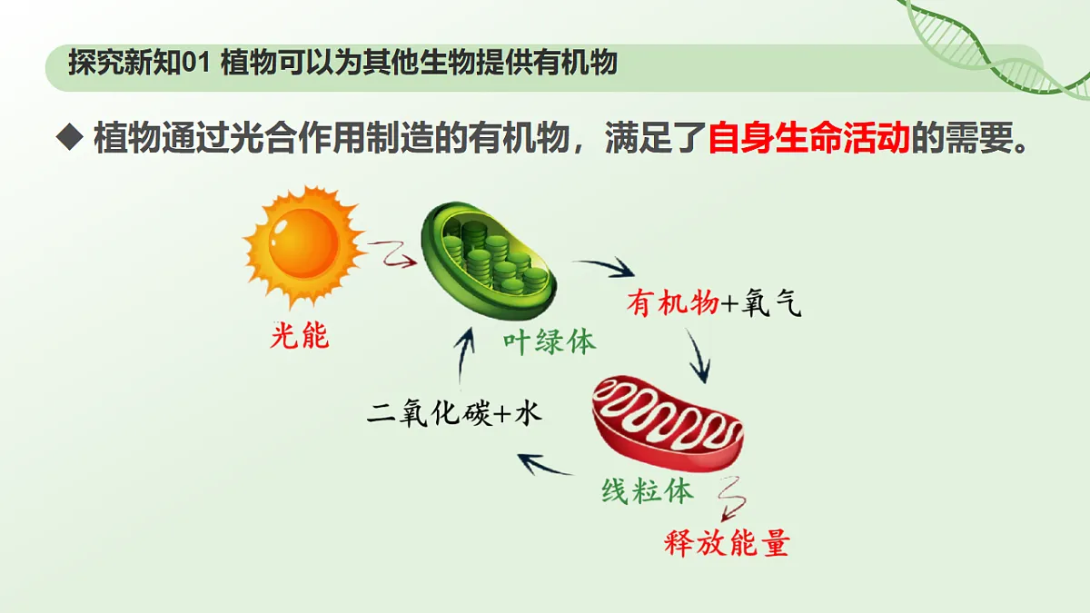 17898278第5页