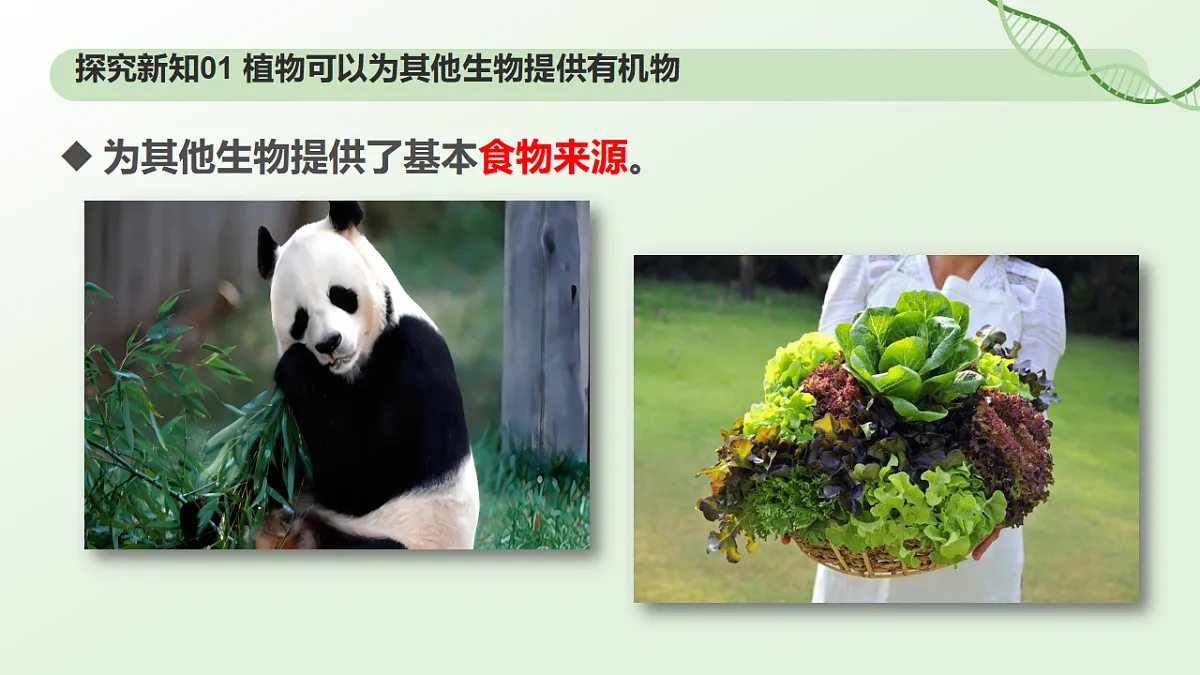 17898278第6页