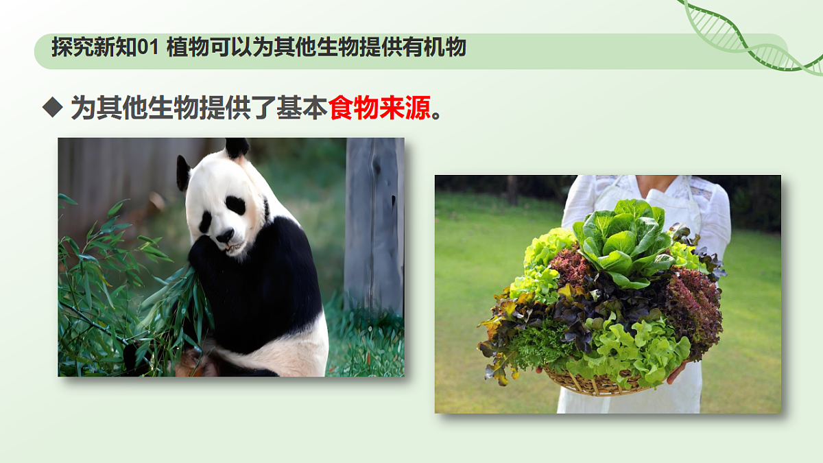 17898278第6页