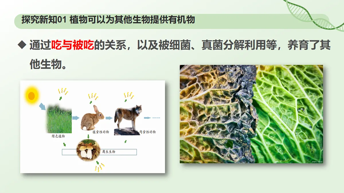 17898278第7页