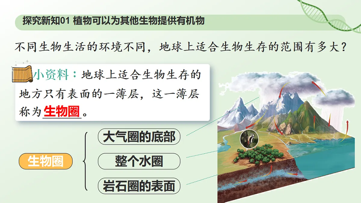 17898278第8页