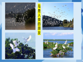 浙教版（2024）数学七下 6.1 数据的收集与整理 (第1课时) 课件