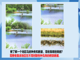 浙教版（2024）数学七下 6.1 数据的收集与整理 (第1课时) 课件