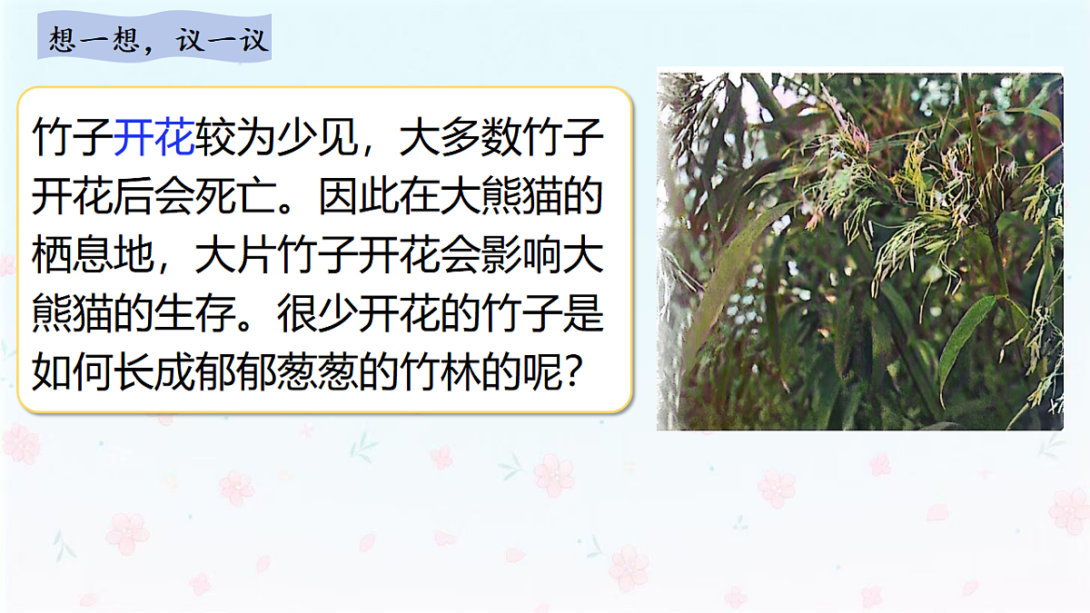 【核心生物】人教版初中生物八年级下册6.1.1《 无性生殖》课件第4页