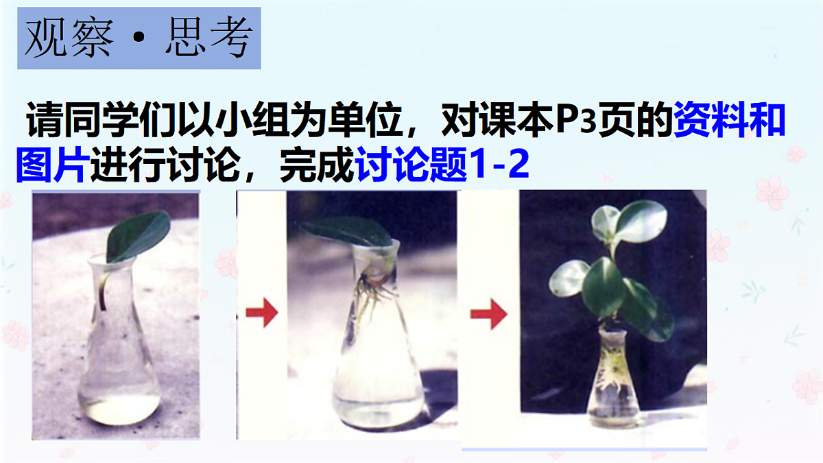 【核心生物】人教版初中生物八年级下册6.1.1《 无性生殖》课件第6页