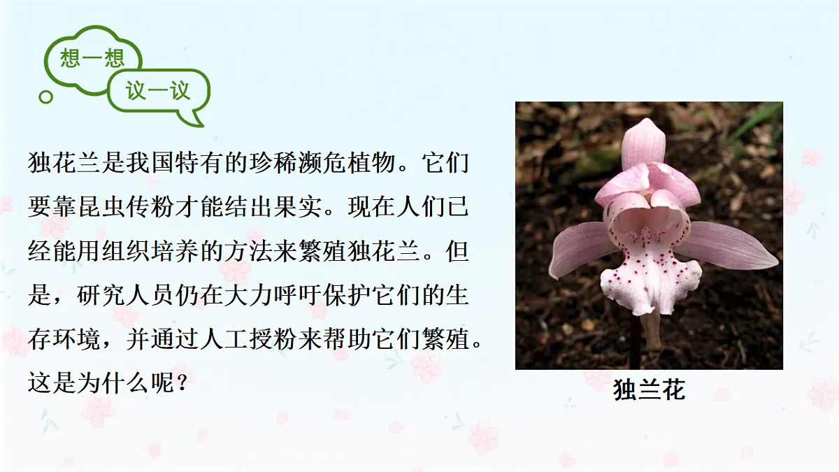 【核心生物】人教版初中生物八年级下册6.1.2《 有性生殖》课件第5页