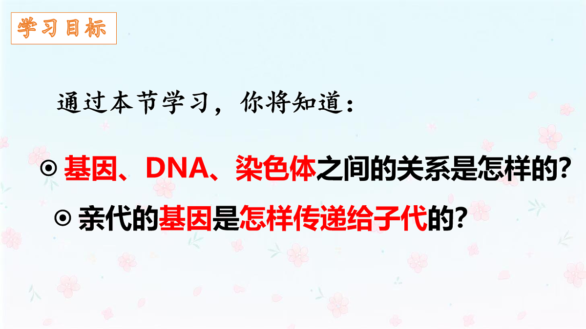 【核心生物】人教版初中生物八年级下册6.2.2《 基因在亲子代间的传递》课件第3页