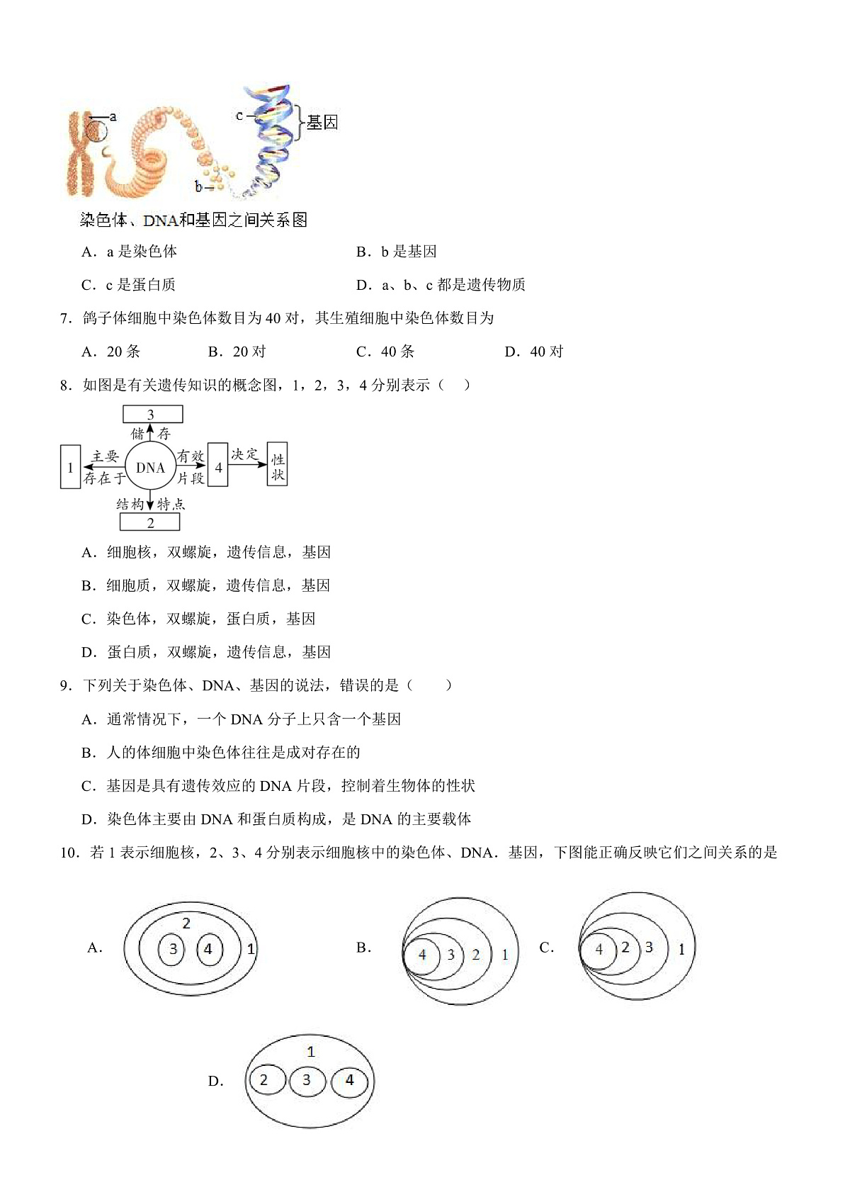 人教版初中生物八年级下册6.2.2《 基因在亲子代间的传递》课时练习第2页