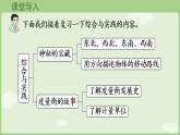 6.5  综合与实践 课件  西师大版（2024）数学三年级下册