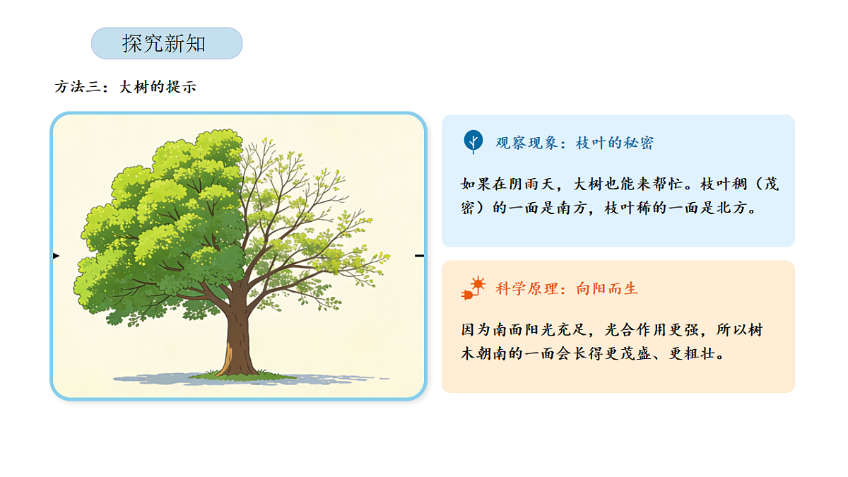 17899099第7页