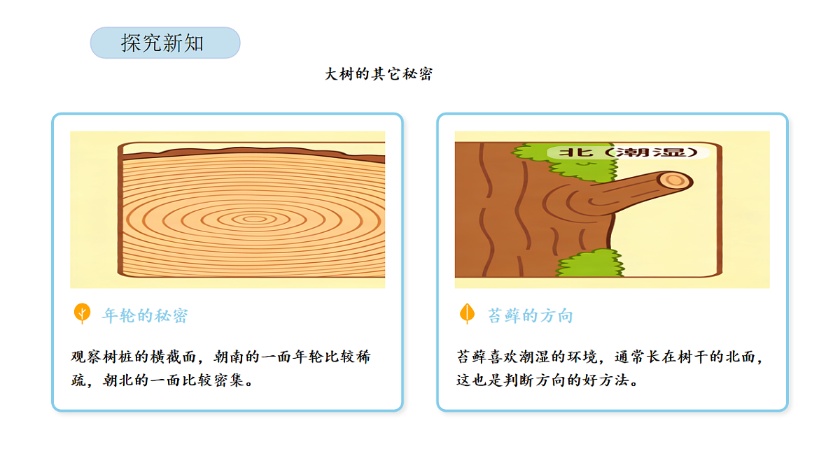 17899099第8页