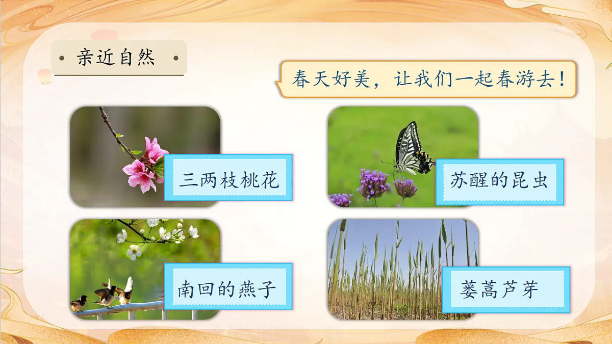 【任务型备课】统编版三年级语文下册-口语交际：春游去哪里（课件）第8页