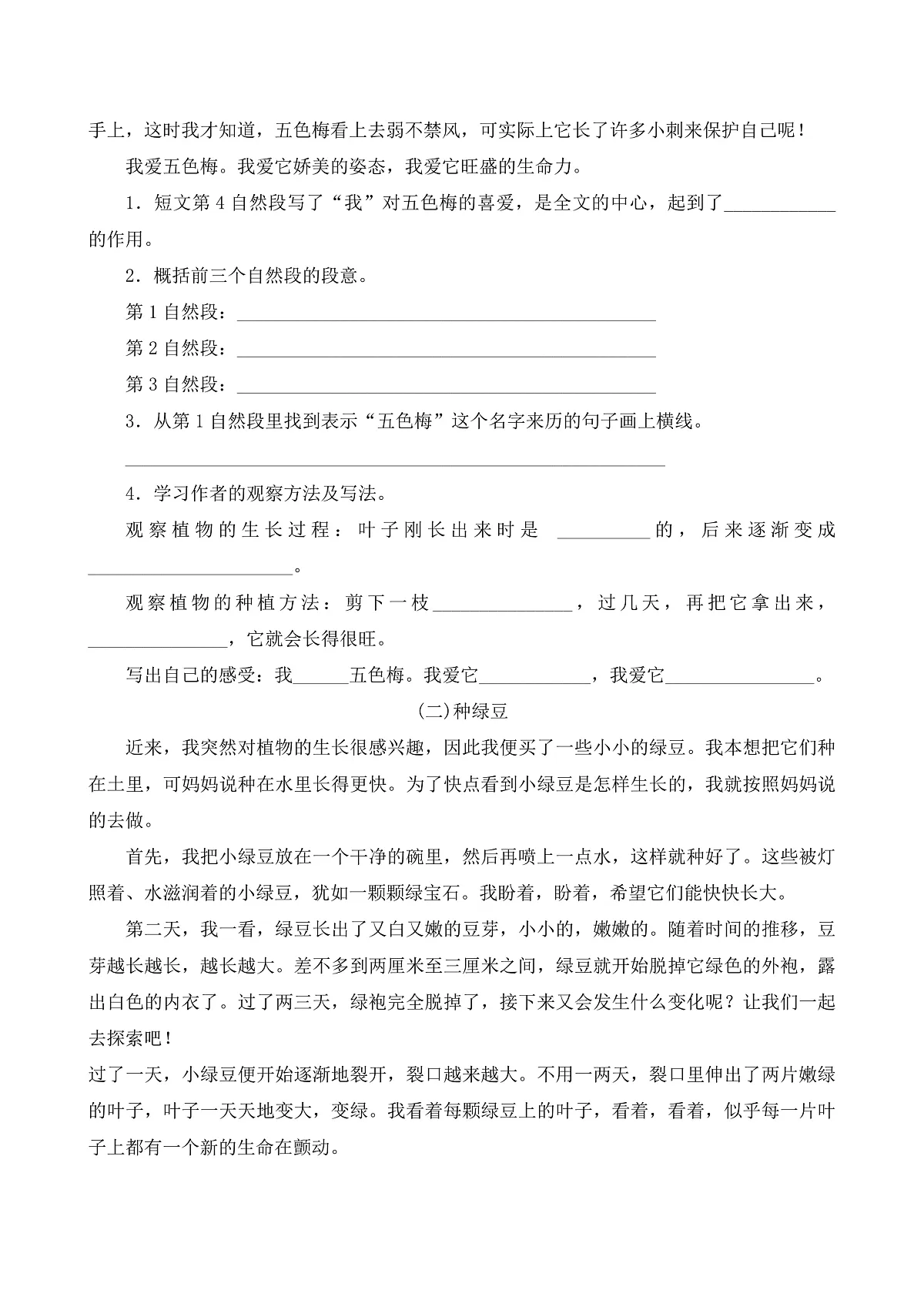 【任务型备课】统编版三年级语文下册-习作1.我的植物朋友（习题）第2页