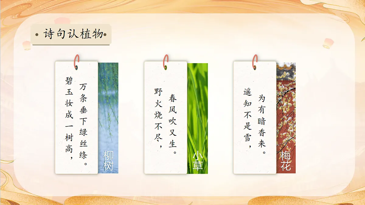 【任务型备课】统编版三年级语文下册-习作1.我的植物朋友（课件）第8页