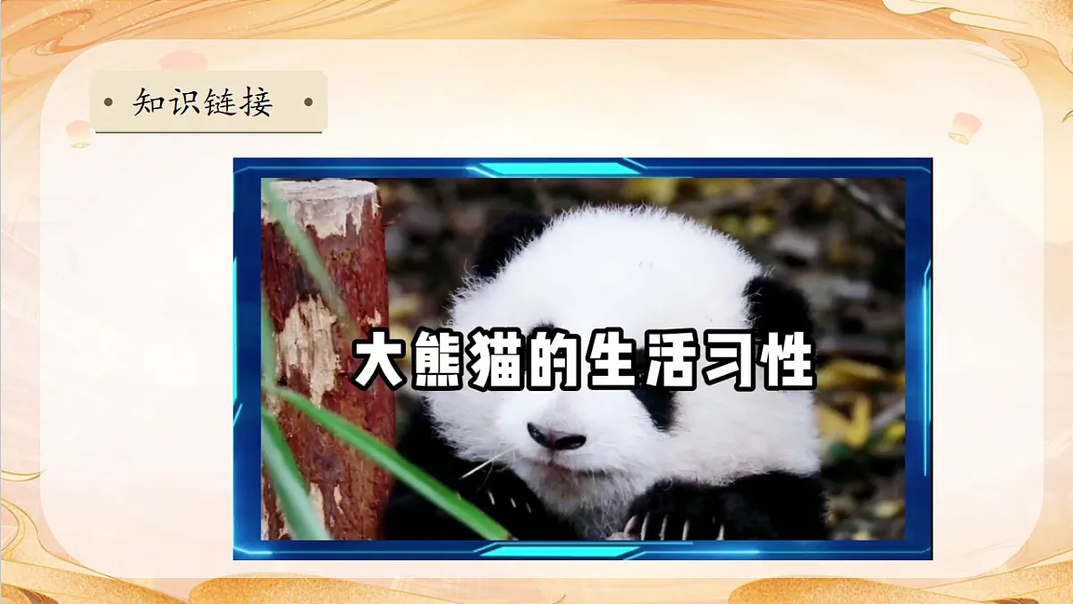 【任务型备课】统编版三年级语文下册-习作7. 国宝大熊猫（课件）第8页