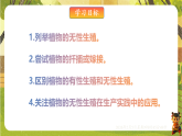 6.1.2 被子植物的生殖（二、无性生殖）（课件）--2025-2026学年(新教材）冀少版生物八年级下册