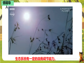 7.2.1生态系统的自我调节（课件）--2025-2026学年(新教材）冀少版生物八年级下册