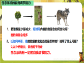 7.2.1生态系统的自我调节（课件）--2025-2026学年(新教材）冀少版生物八年级下册