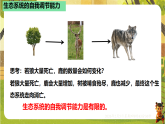 7.2.1生态系统的自我调节（课件）--2025-2026学年(新教材）冀少版生物八年级下册