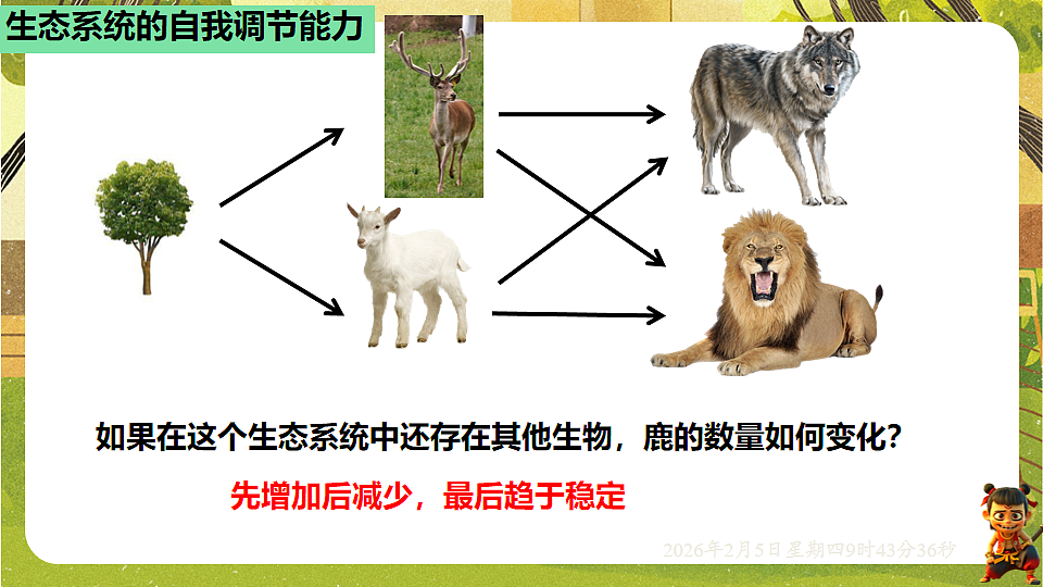 17900044第7页
