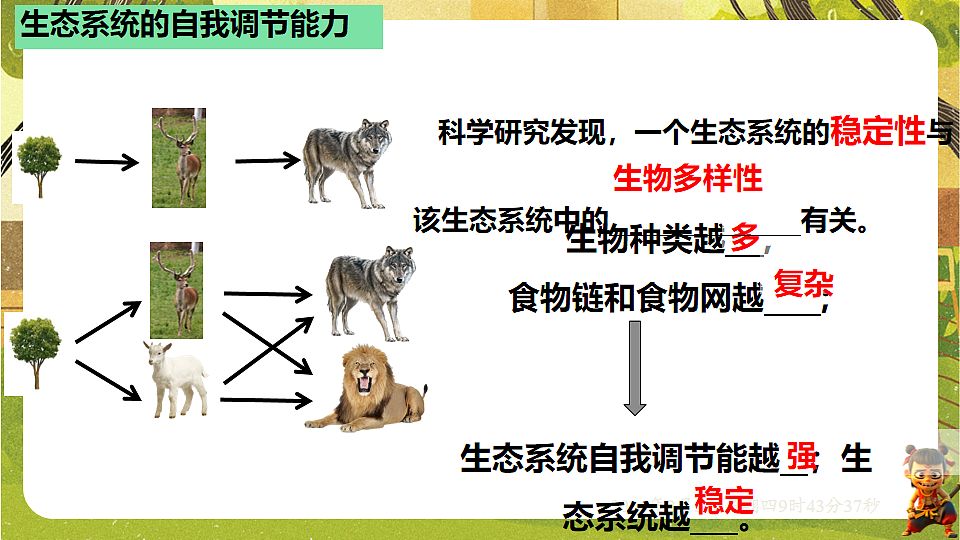 17900044第8页