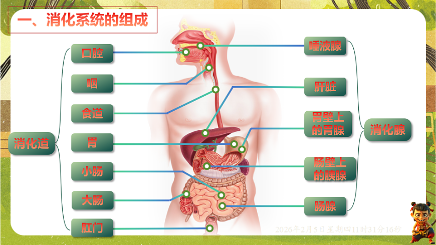 17900395第4页