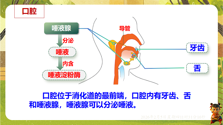 17900395第5页