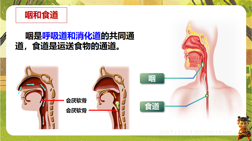 17900395第6页