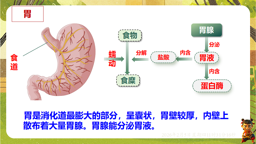 17900395第7页