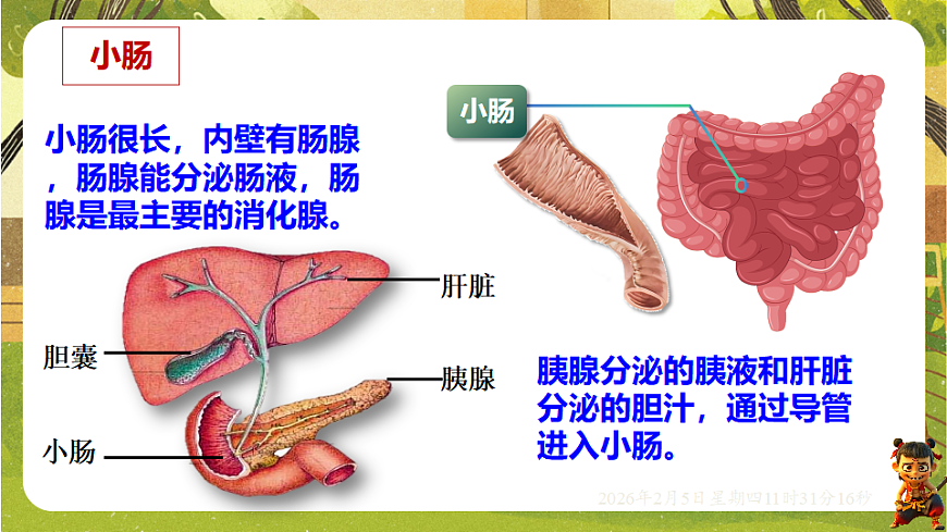 17900395第8页