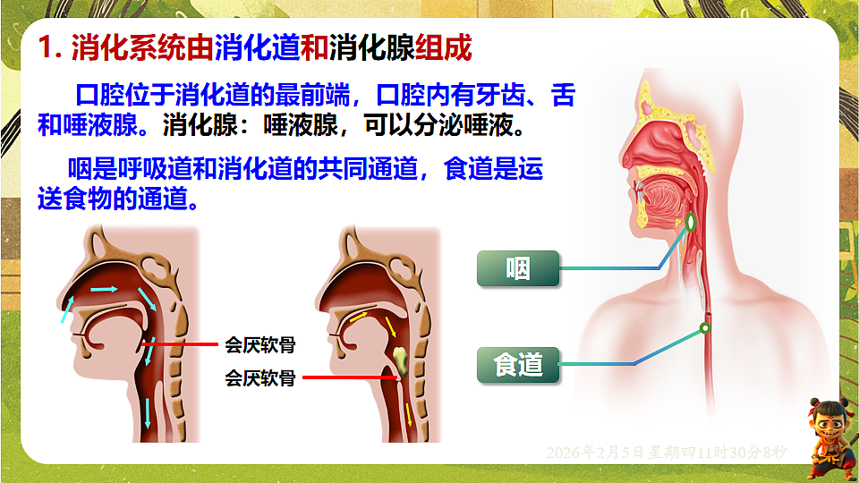 17900399第4页