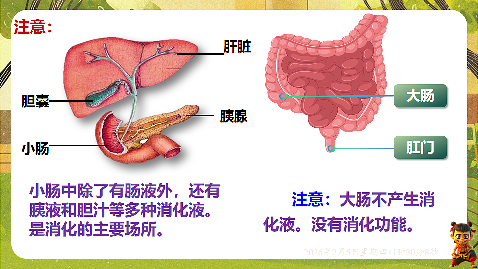 17900399第6页