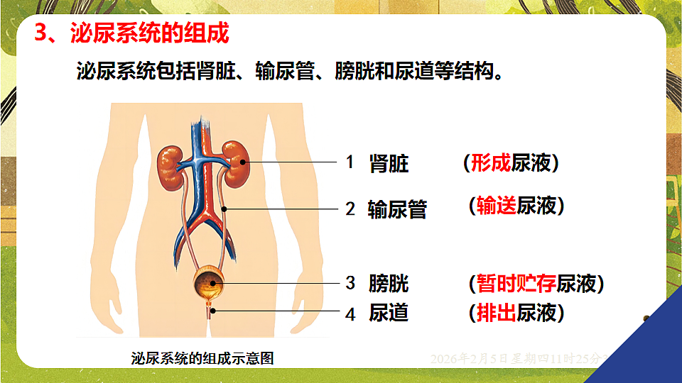 17900421第7页