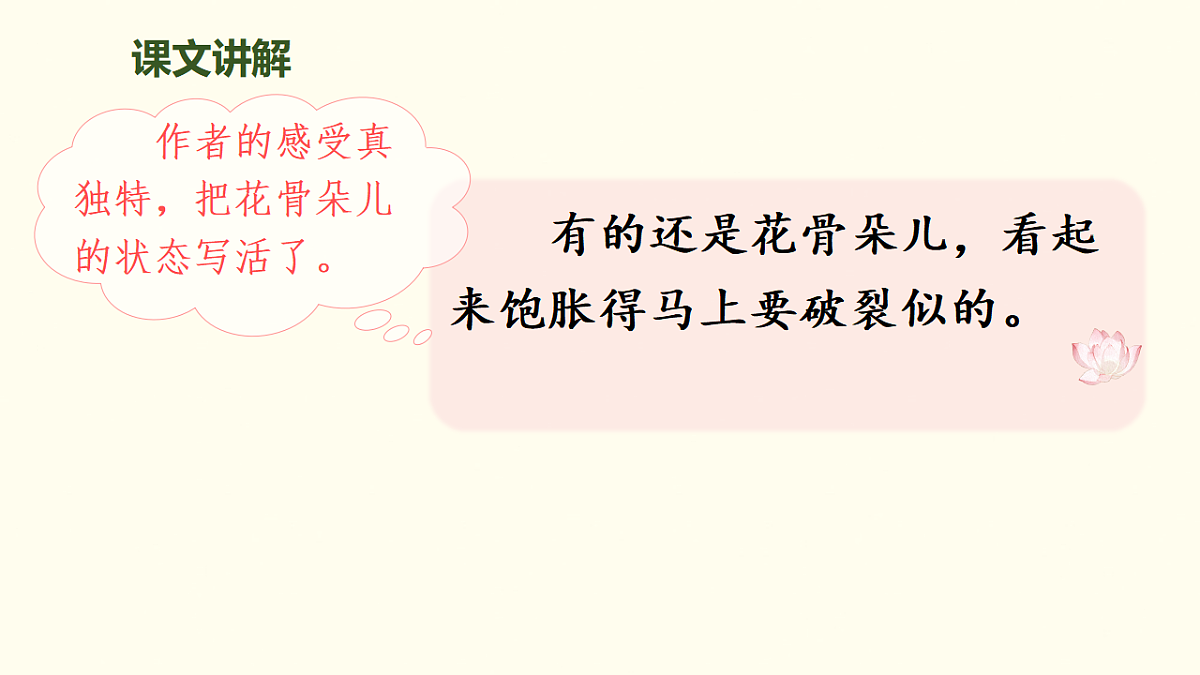 17900508第6页