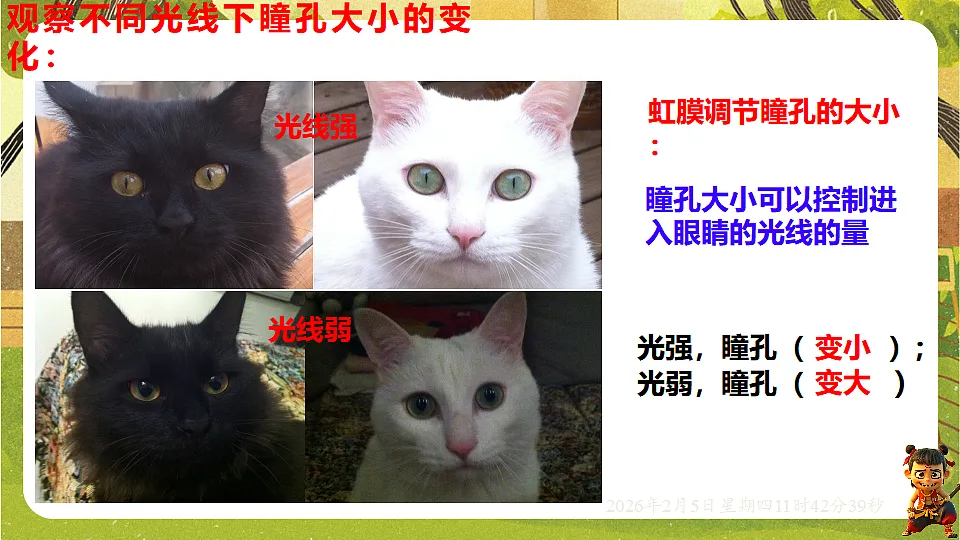 17900823第7页